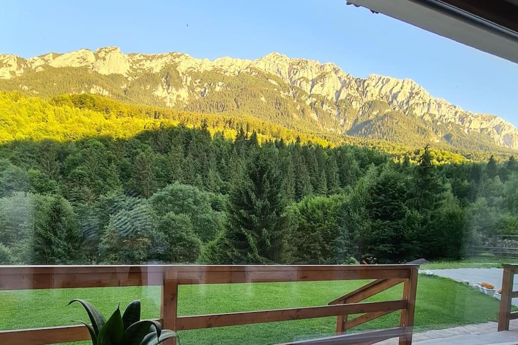 Pensiune Subcrai Cu Centru Spa Zărneşti Exteriör bild